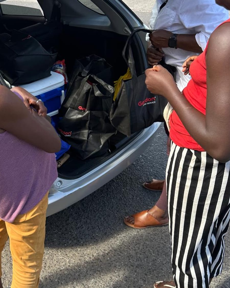 Bags of groceries being lifted out of the back of a car and handed over.